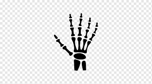 We did not find results for: Bone Logo Joint Human Skeleton Arm Hand People Logo Png Pngwing