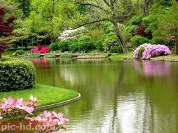 صور عن الطبيعة الخلابة خلفيات طبيعية مناظر خلابة Beautiful Nature Beautiful Gardens Nature Photography