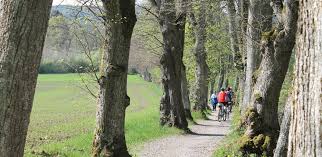Radtour Radweg Um Den Starnberger See In 2020 Starnberger See Radtour See