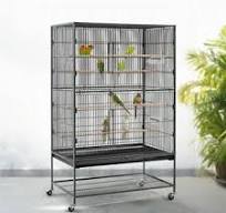 Antique Bird Cages for Pets with Vintage Charm and Classic Style
