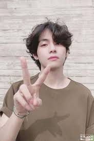 In the new video of their single butter, we can see some cute cats as the song plays in the background. V Bts Cute V Bts Photo 40422165 Fanpop