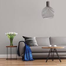 Leanne ford just launched a new paint collection with ppg that's making the design process so much easier. Ppg Ultralast 1 Gal Ppg1005 3 Gray Shadows Eggshell Interior Paint And Primer Ppg1005 3u 01e The Home Depot