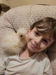 My son is our chicken whisperer❤️ They love him so much!