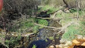 Take a wildlife tour at rainbow springs nature park, new zealand. Paradise Springs Nature Trail W374 S8640 County Rd N Eagle Wi 53119 Usa