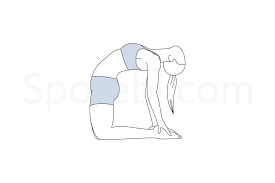 Camel pose stretches the front of the body including the chest, abdomen, and quadriceps. Camel Pose Ustrasana