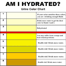 Are You Hydrated Urine Color Tells A Great Deal Li Trioli