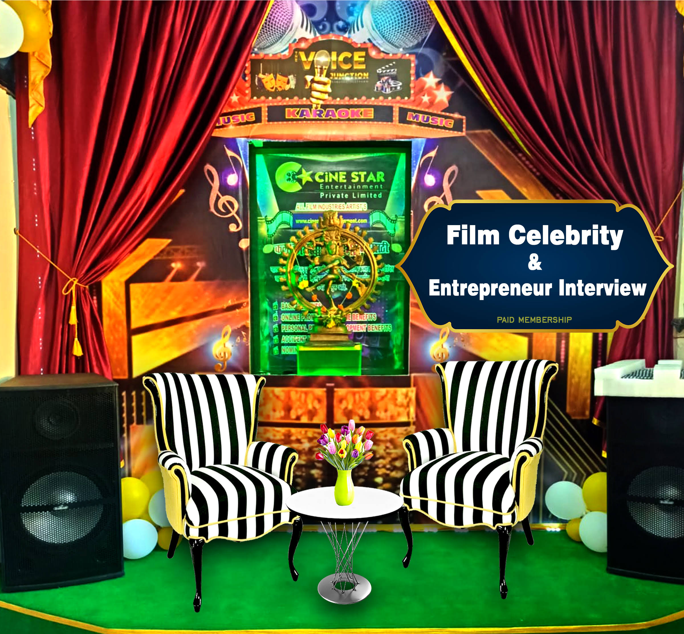Celebrity Interview product image