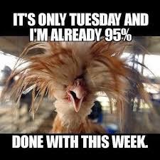 Don't give up your hope at anytime in life because every disappointment comes with an appointment. Happy Funny Good Morning Images Quotes Facebook