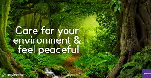 It is usually measured in pixels, but some graphics programs allow you to view and work with your image in the equivalent inches or centimeters. 8 Dimensions Of Health Your Environment Carebook