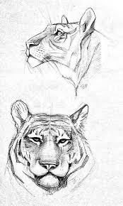 Learn To Draw Animals Drawing On Demand Animal Sketches Easy Animal Drawings Animal Drawings Sketches
