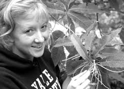 THE JOURNAL OF THE AMERICAN CHESTNUT FOUNDATION