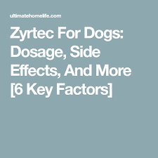 zyrtec for dogs dosage side effects and more 6 key