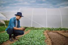 Espanha e portugal duelam em partida amistosa. Agricultura Mundial Confira As Principais Estatisticas
