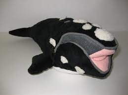 Pin On Whales