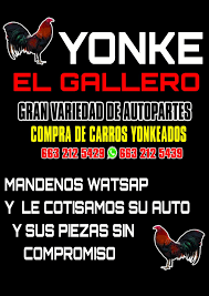 Autopartes usadas el Gallo
