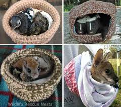 This is a tutorial to make a lovely pattern of kangaroo to sew with clear and detailed explanations and also accompanied by various photos that will guide you during the creation of your. Many Crafting Ideas To Help Animals Many Ways To Help Animals