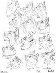 6 Twitter Drawings Art Christmasen Cat Drawing Tutorial Animal Drawings Cat Anatomy