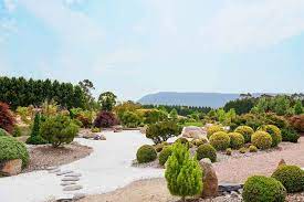 Japanese Garden Design Ideas Better Homes Gardens Australia Japanese Garden Plants Japanese Garden Japanese Gardens Design Ideas