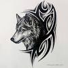 302x255 how to draw a gray wolf, timber wolf step 10 how to draw. 1