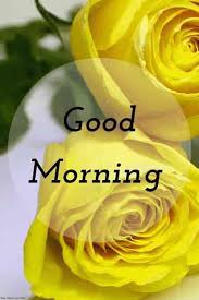 Good Morning Image Hd With Yellow Roses Good Morning Images Good Morning Images Download Morning Images