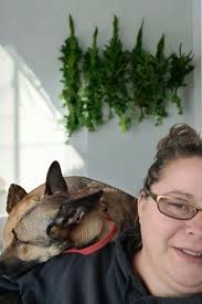 Seeking a human certified specialist Georgetown TX