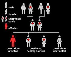 Sickle Cell Inheritance Chart Google Search Nursing