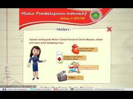 Pengembangan media pembelajaran interaktif berbasis adobe eyd berbasis adobe fla. Media Pembelajaran Interaktif Peredaran Darah Dengan Adobe Flash Youtube