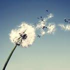 الله م احفظ لي أهلي و أحبتي وأولئك القريبون إلى قلبي والبعيدون عن عيني وأنت خير ا good morning arabic good morning greetings islamic inspirational quotes
