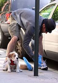 В Мариуполе произошла стрельба из-за собаки, ранен мужчина, - Аброськин - Цензор.НЕТ 9738