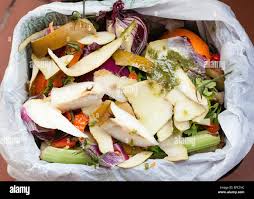 نتیجه جستجوی لغت [varied] در گوگل