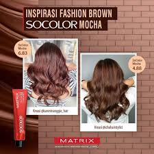Cat rambut matrix socolor 90 ml: Warna Rambut Dark Brown Matrix