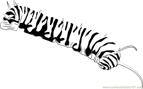 Monarch caterpillar (coloring page) clipart is provided in jpeg format. Monarch Caterpillar Dot To Dot Printable Worksheet Connect The Dots