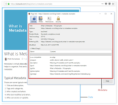 A more personal instance was when we developed a software system which supported decentralized. What Is Metadata With Examples Data Terminology