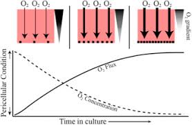 In this context, it is the current state of humanity's knowledge of how to combine resources to produce desired products, to solve problems, fulfill needs, or satisfy wants; Limitations Of Oxygen Delivery To Cells In Culture An Underappreciated Problem In Basic And Translational Research Sciencedirect
