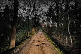 We geven daarom onderhoud, uitbreiding en inrichting veel aandacht. Biecht Van Wim S Leidde Op Strabrechtse Heide Tot Zoektocht Naar Lichaam Tanja Groen Brabant Bd Nl