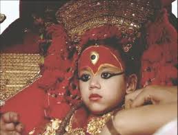 The Human Animal" The Human Zoo (TV Episode 1994)