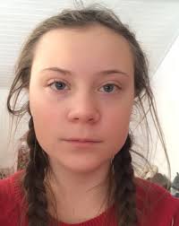 Greta is a 2018 psychological thriller film directed by neil jordan and written by ray wright and jordan. Greta Thunberg Agenda Contributor World Economic Forum