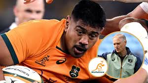 Wallabies: Joe Schmidt says ex-captain could play in Rugby Championship :  Planet Rugby