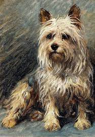 Maybe you would like to learn more about one of these? Sweet Yorkie Portrait Prints Notecards Of Vintage Victorian British Oil Painting Of Sitting Yorkshire Terrier In 2021 Yorkie Painting Yorkie Yorkshire Terrier