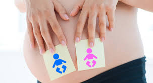 ما الفرق بين وحام الولد والبنت علمي ا ويب طب