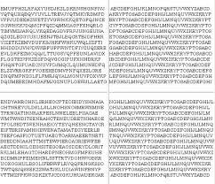 Gathering the known information known about this passage, we know that nypvtt=berlin, and that mzfpk=clock. Kryptos Artist To Reveal Rare Clue To Baffling Cia Sculpture Wired