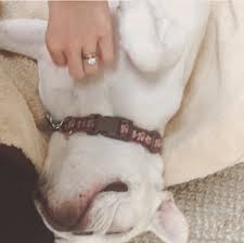 Check out our john mulaney selection for the very best in unique or custom, handmade pieces from our bumper stickers shops. Annamarie Tendler S Round Cut Diamond Ring