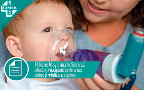 We did not find results for: Virus Sincicial E Influenza Son Las Principales Enfermedades Respiratorias En Invierno