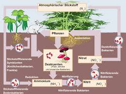 Yo soy lawrence de arabia, y sé que el agua está envenenada no bebáis amigos, es una trampa, siempre os digo que vos traigas el agua. Earth At Risk In The 21st Century