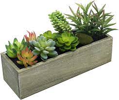 See more ideas about faux plants, glass containers, plants. Amazon Com Mygift Artificial Mixed Succulent Plants In Rectangular Brown Wooden Planter Box Furniture Decor