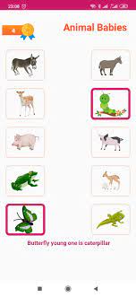 Babies Of Animals Animals And Their Babies Kids Learning Activities Mother And Baby Animals Baby Animals
