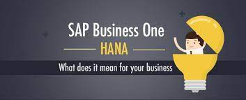 Sap Business One Hana What Does It Mean For Your Business Sap Hana Business
