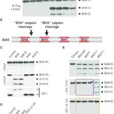 Image result for tbn:oICZ-UHpUGgp-M::files.nireblog.com/blogs/familiaschwingel/files/familias2.bmp