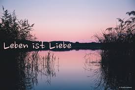Wer Ist Osho Biografie Von Ihm Selbst Findyournose