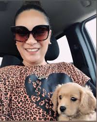 We realize that your dog is a furry member of your family and they deserve the highest level of care. Damac Hills Best Pet Boarding Grooming For Dogs Cats With Pickup Petbacker Dubai